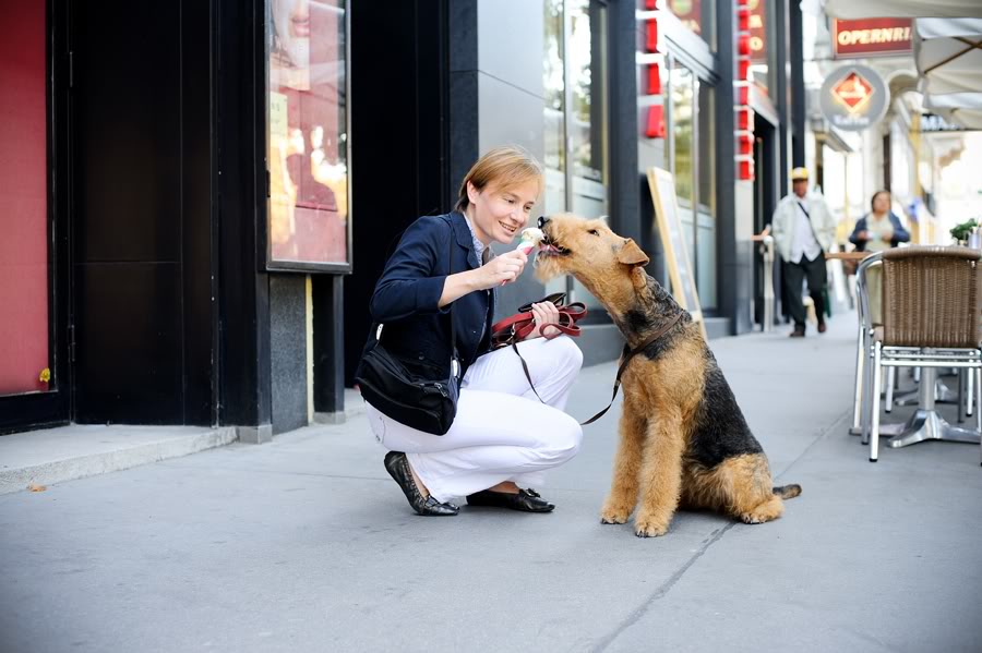 Airedale Terrier in Wien
