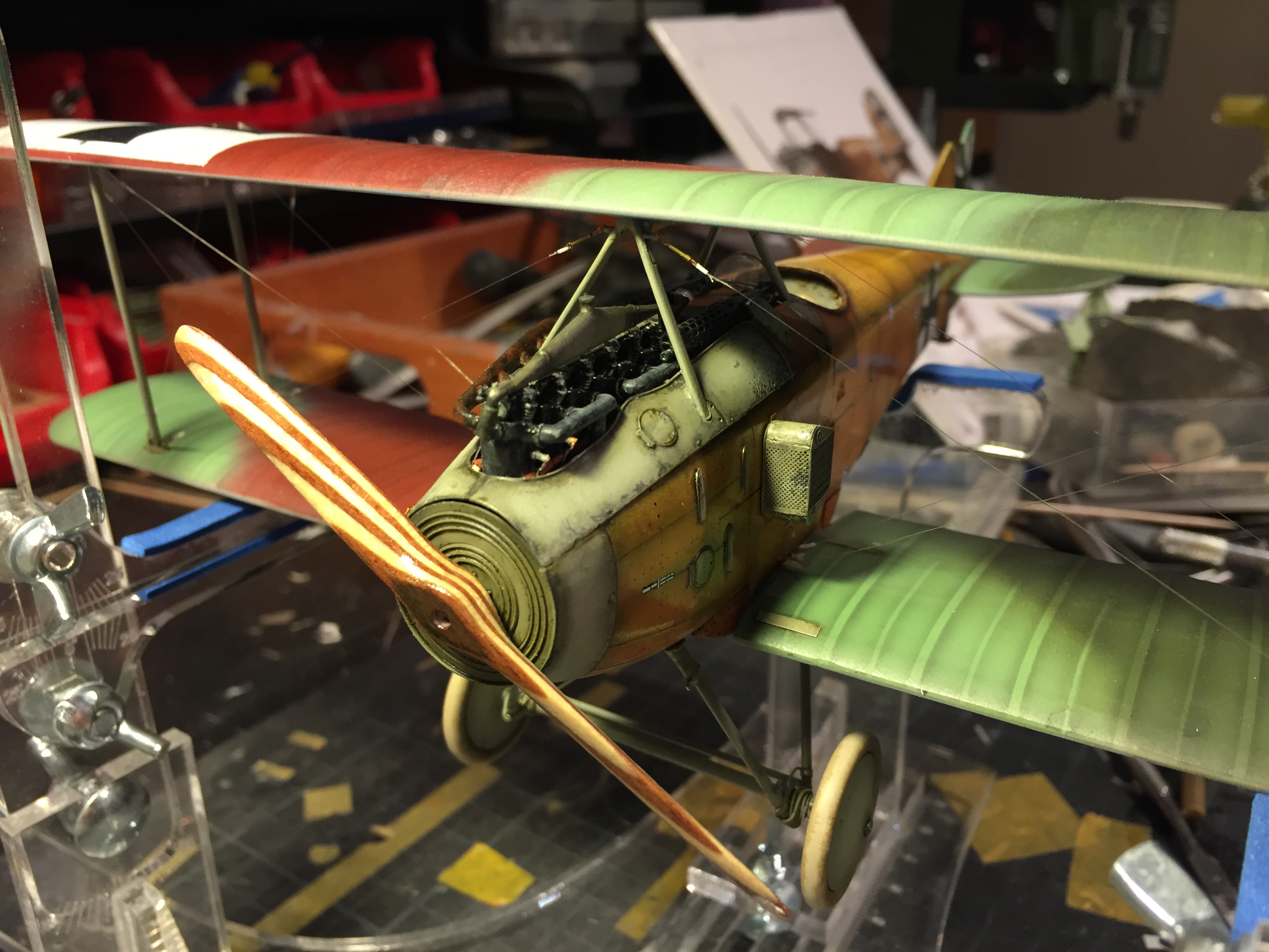 Nieuport 11 (Special Hobby 1:32) Img_2059