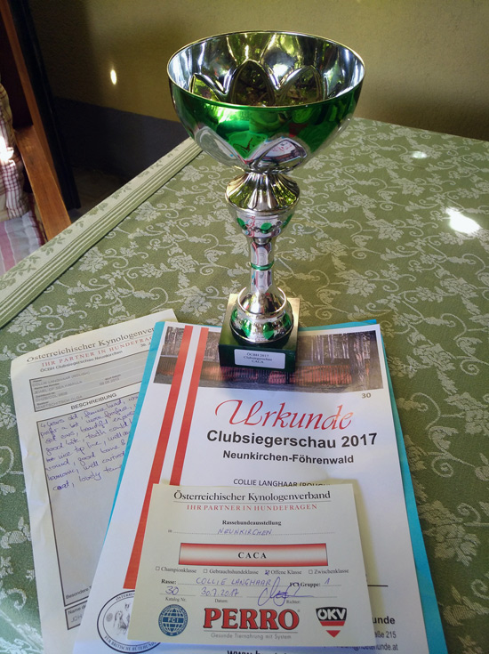  Clubsiegerschau 2017 Pokal